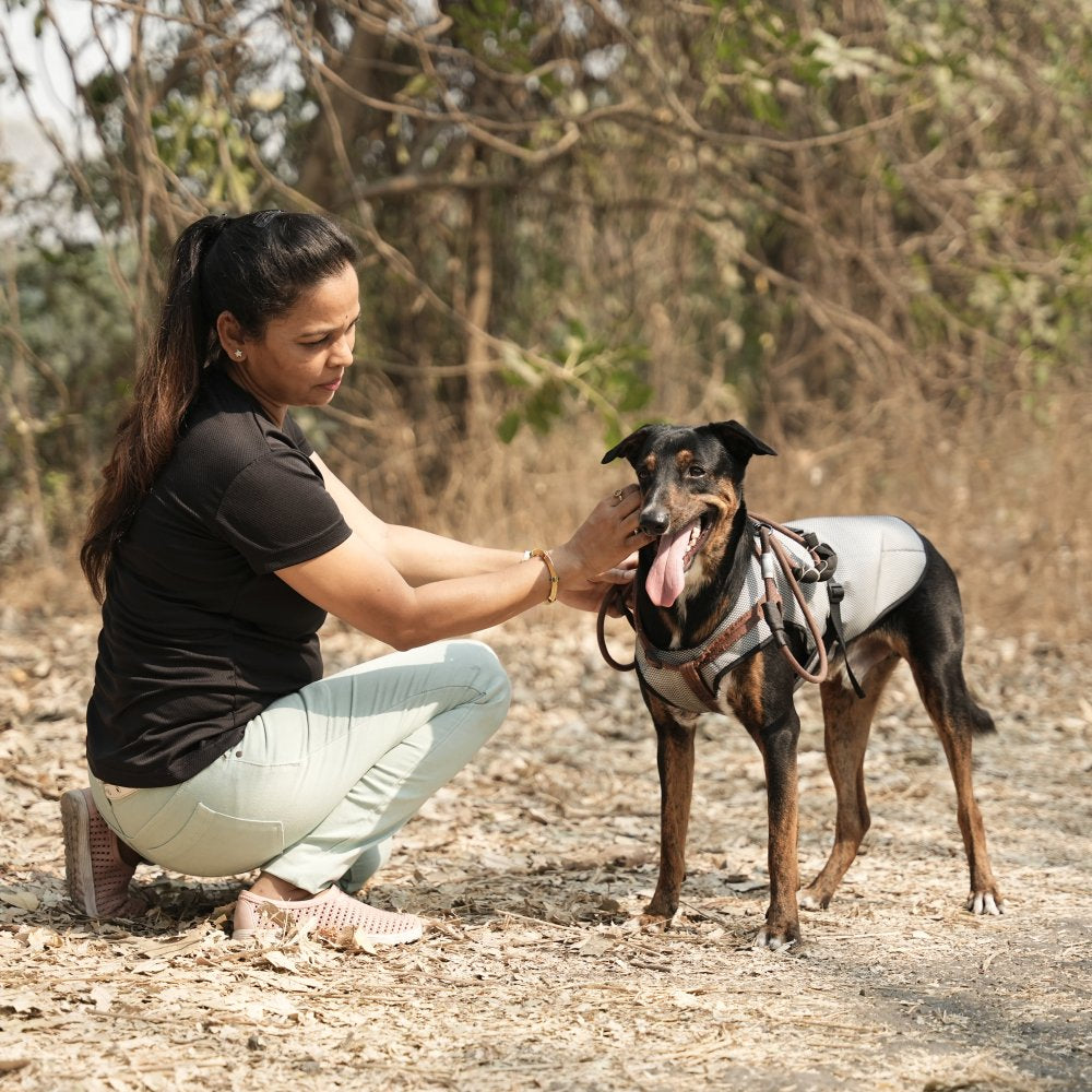 How to prevent heatstroke in dogs?