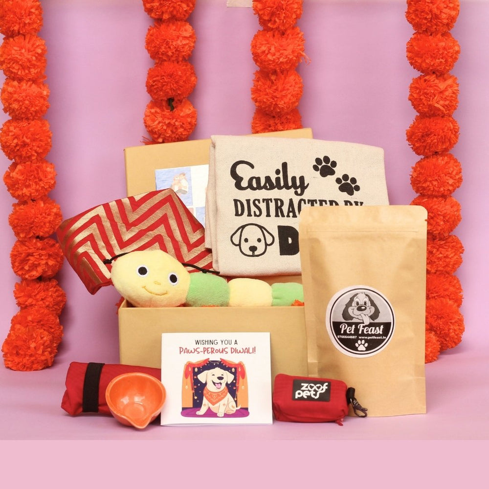 best diwali gift for dog mom