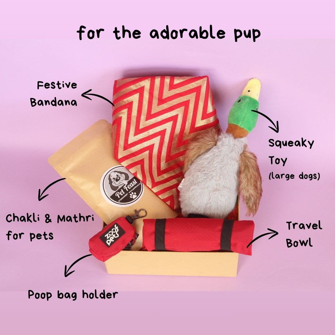 diwali hamper for dogs
