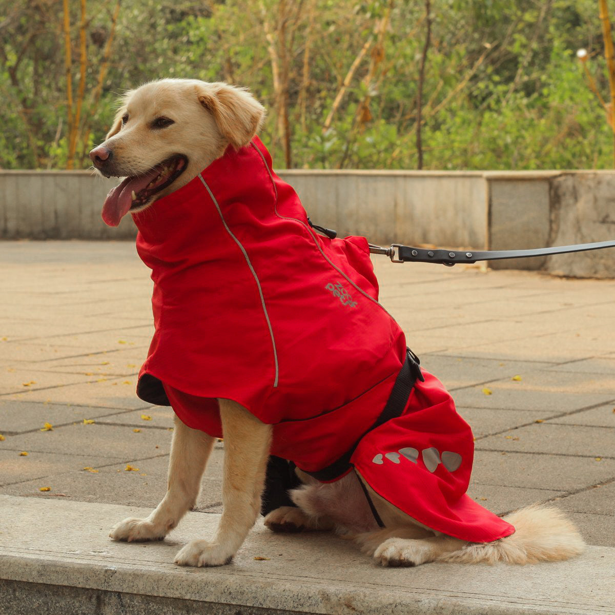 Best raincoat for golden retriever outlet
