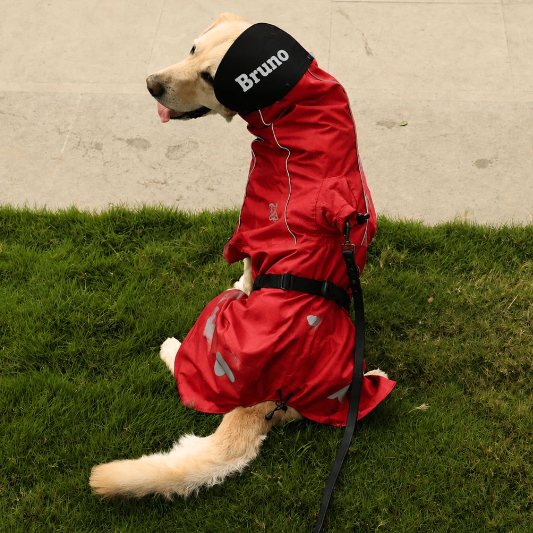 canine rain gear Zoof Dog Raincoat Menge auswählen:1 Stück Silber Category:E Bike_VP VPE 527 Built to handle rough Zanier Aviator GTX Beheizbare