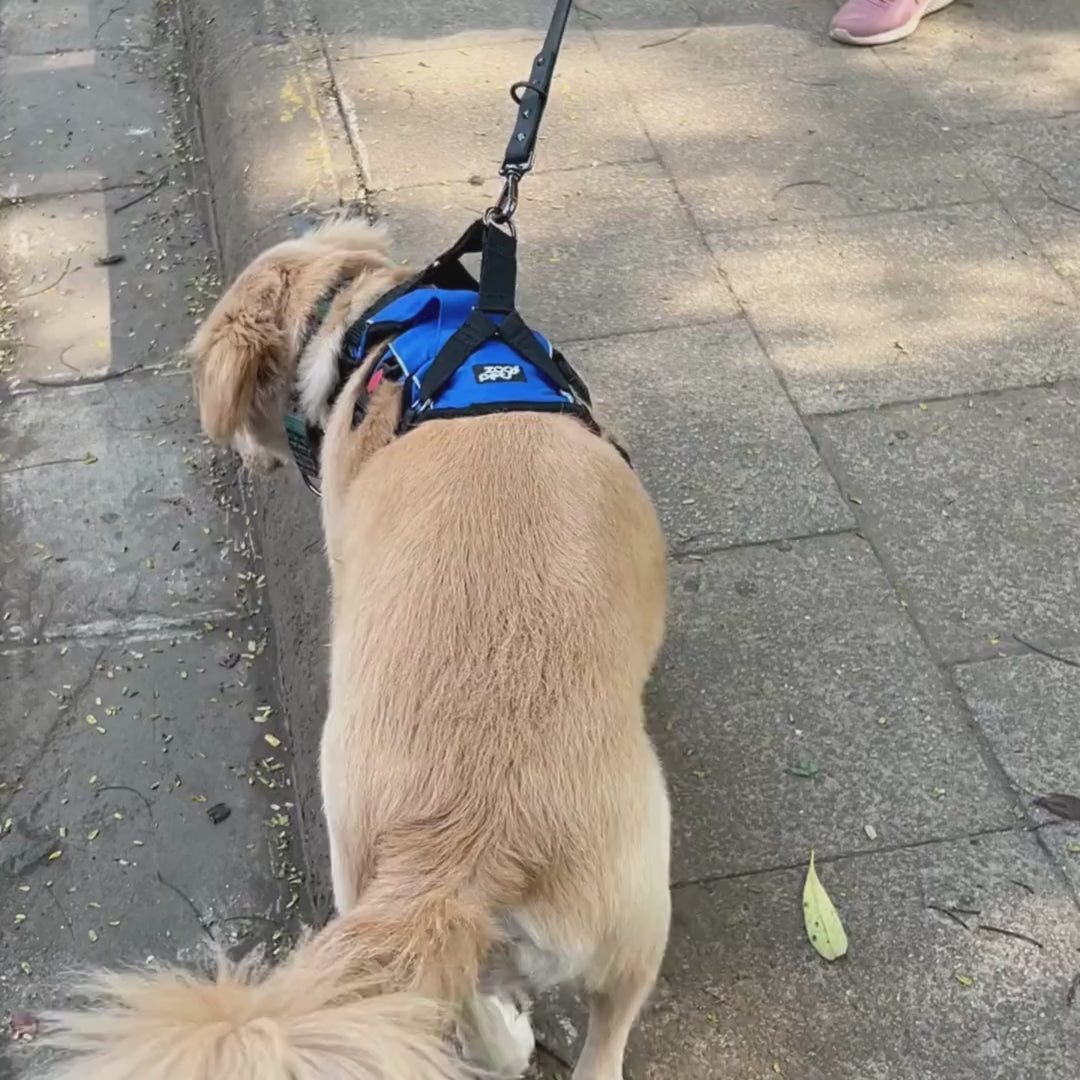Zoof Escape Proof Dog Harness