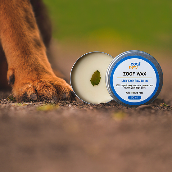 Buy Dog Paw balm Zoof Wax for Dry Cracked Paws – Zoof Pets