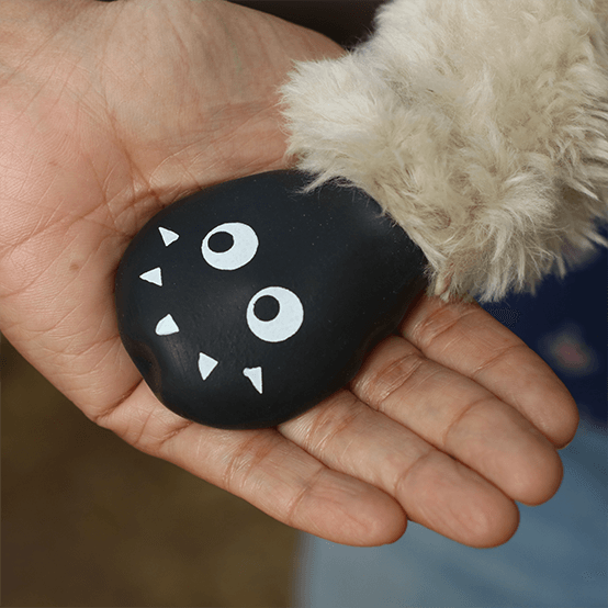 Dog waterproof boots