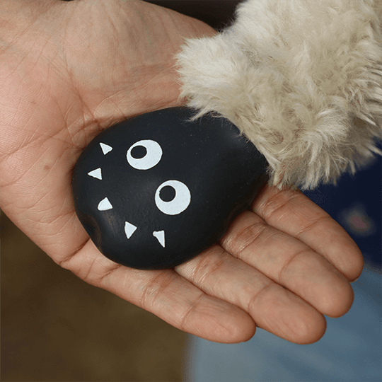 Dog waterproof boots