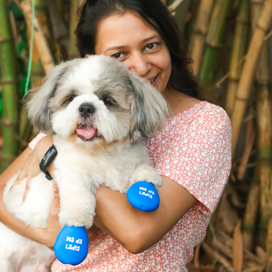 Dog shoes for shih tzu hot sale