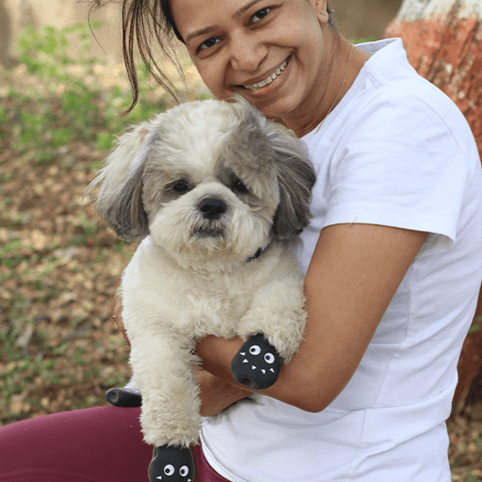 Shihtzu boots for rain