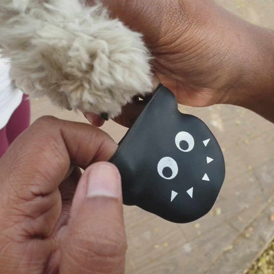 Shihtzu in dog boots