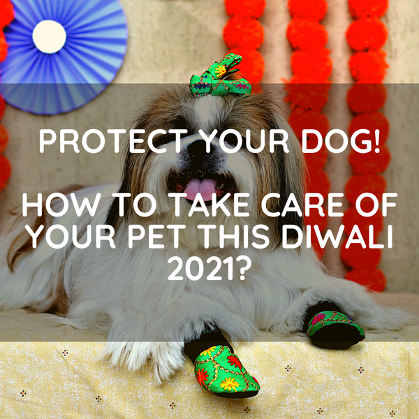 Protect Your Dog! How To Take Care Of Your Pet This Diwali 2021?
