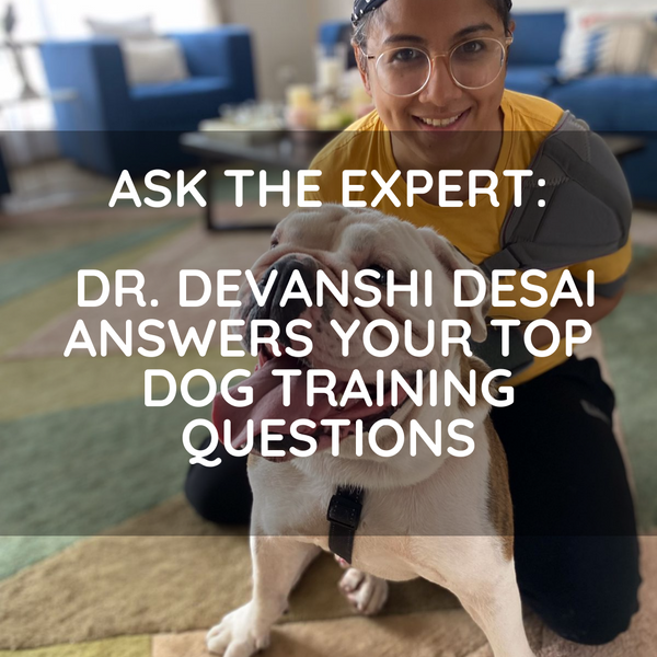 Ask the expert: Dr. Devanshi Desai answers your top dog training questions
