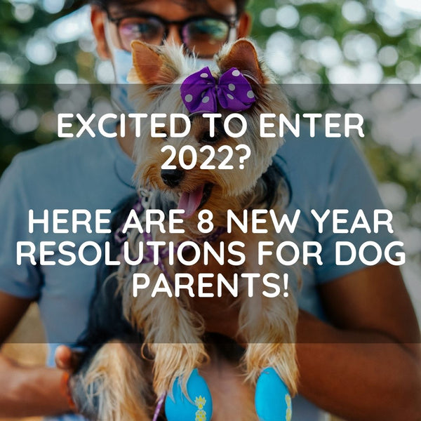 Excited to enter 2022? Here are 8 new year resolutions for dog parents!