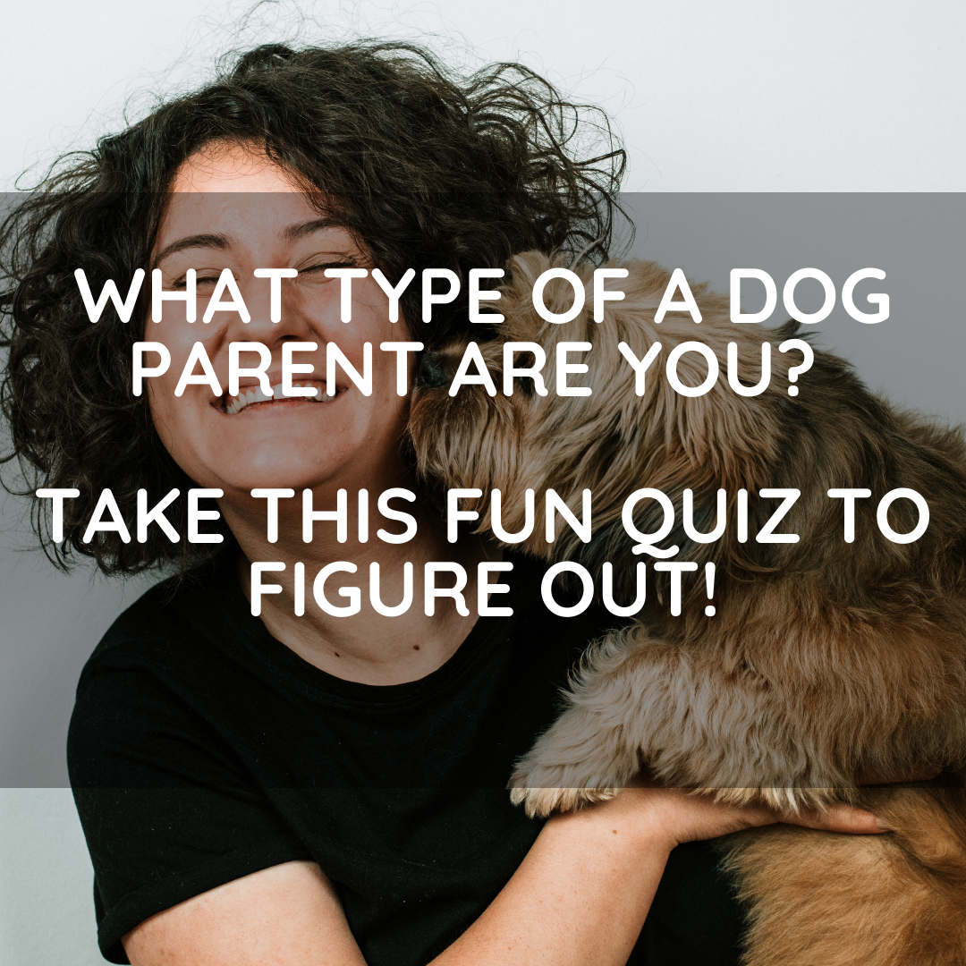 What Type Of A Dog Parent Are You? Take This Fun Quiz To Figure Out!