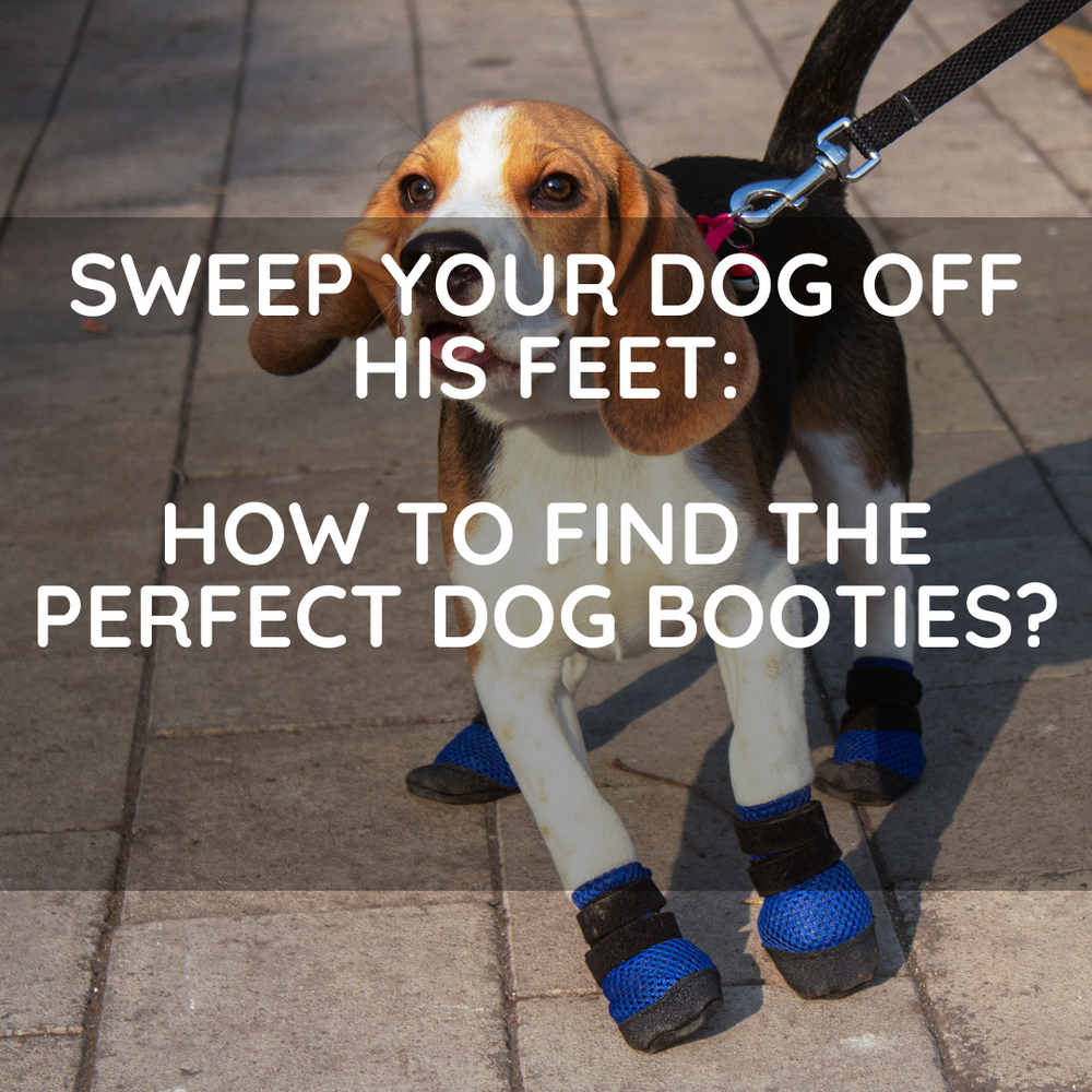 Makeshift dog booties top
