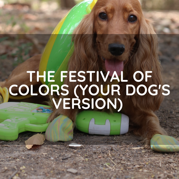 The Festival Of Colors (Your Dog's Version)
