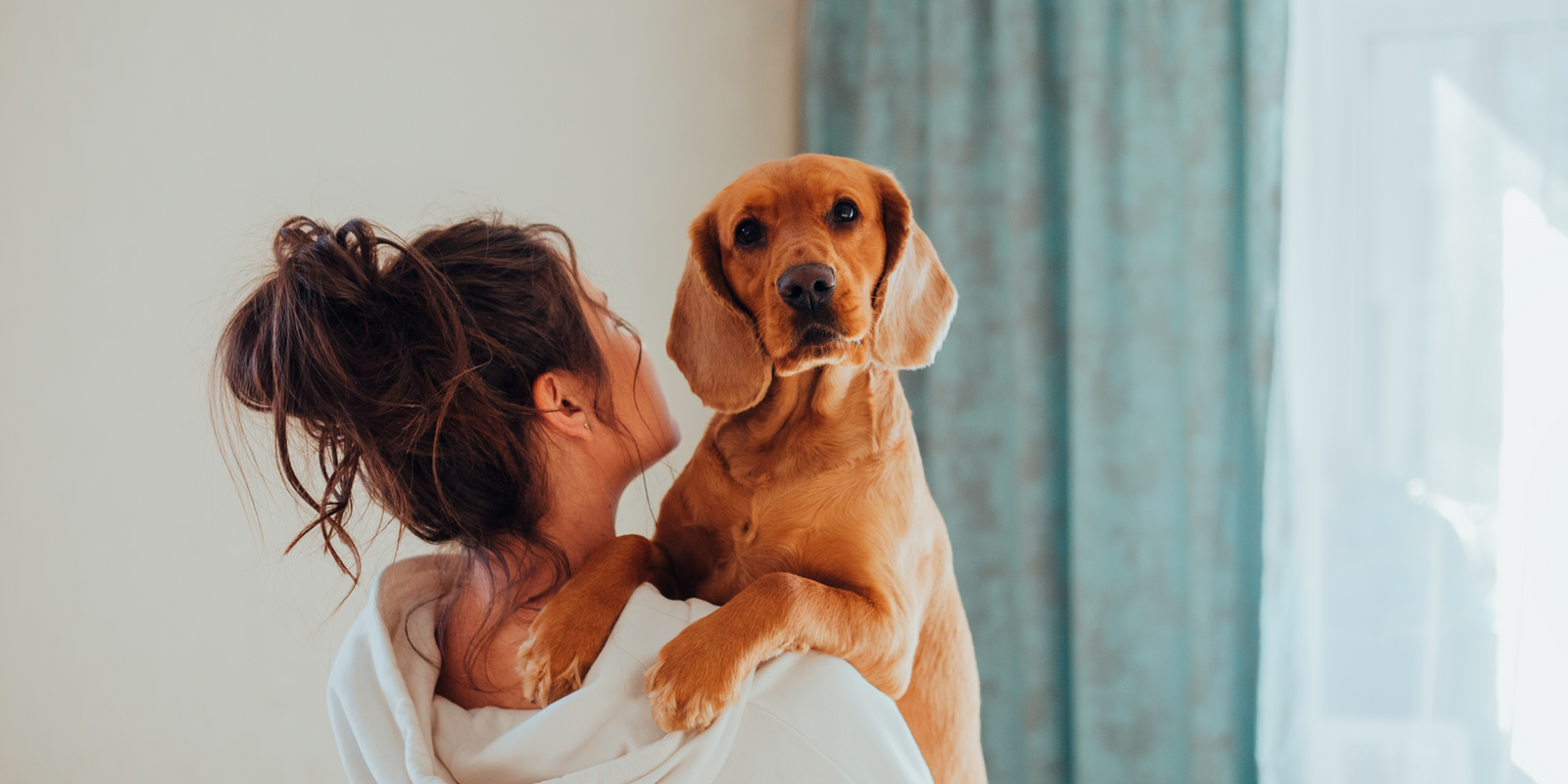 Heating pad for dog with hip dysplasia online