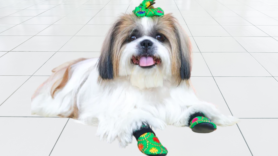 How Zoof Ethnic Dog Shoes Complete Your Pet’s Festival Outfit