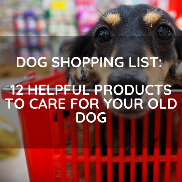 Dog shopping list: 12 helpful products to care for your old dog
