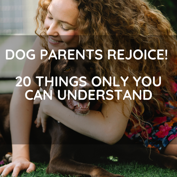 Dog Parents Rejoice! 20 Things Only You Can Understand
