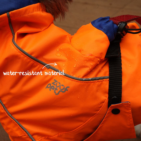 Zoof Dog Reversible Raincoat - Firecracker