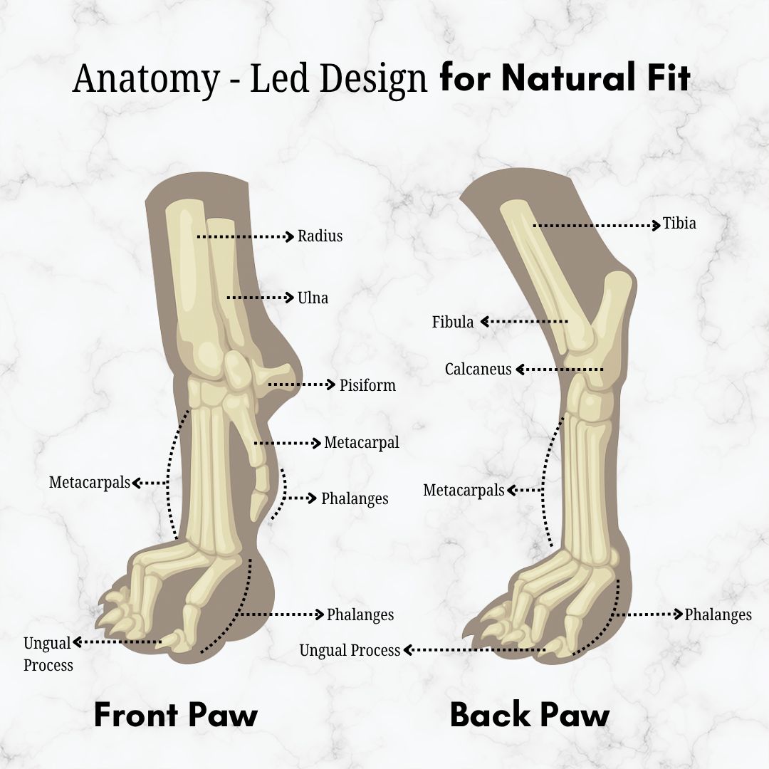 Zoof Grips - Anti Slip Indoor Shoes for Senior Dogs