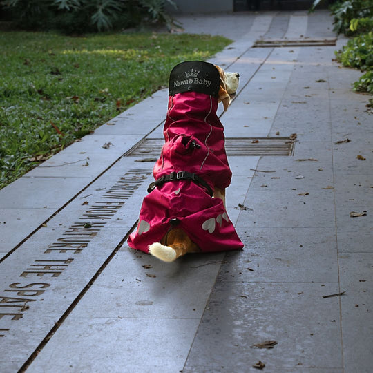 Zoof Dog Raincoat - Nawab Baby