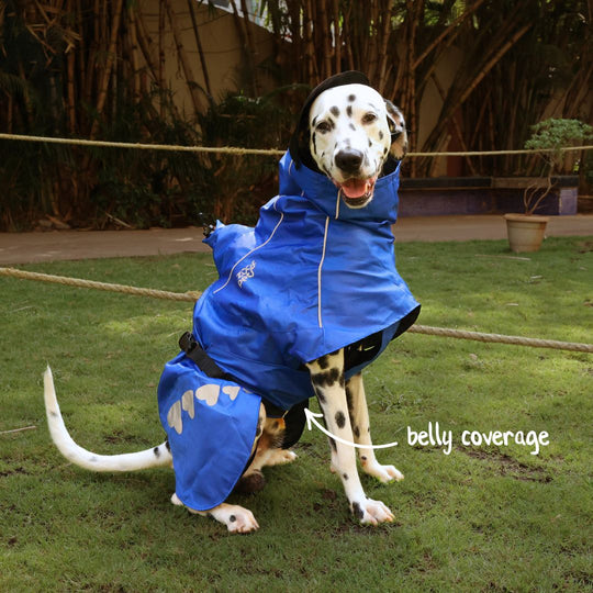 Zoof Dog Raincoat - Toofan Express