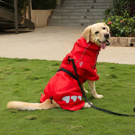 Zoof Dog Reversible Raincoat - Double Trouble