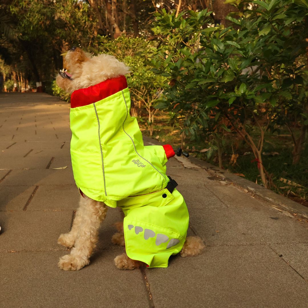 Zoof Dog Reversible Raincoat - Double Trouble