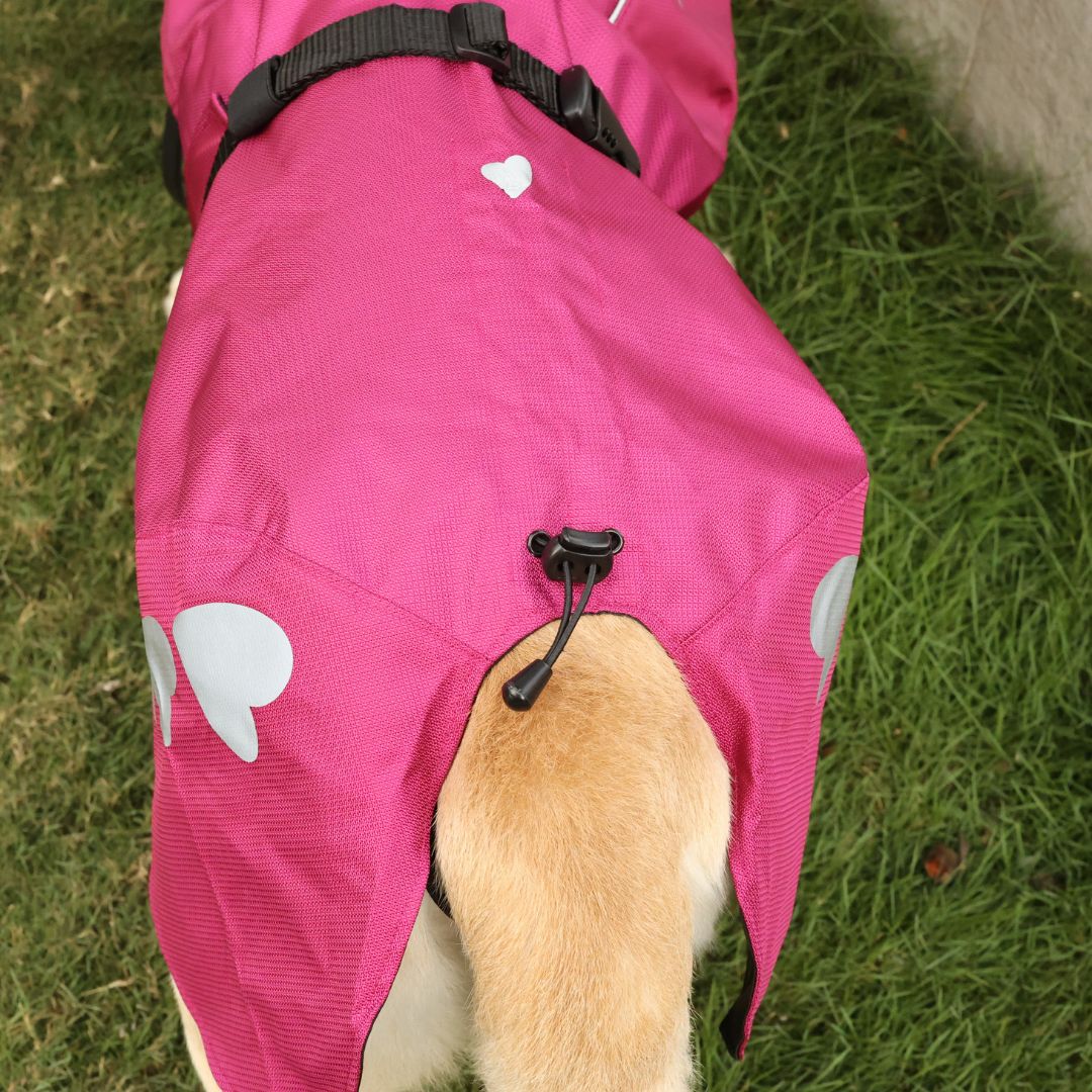 Zoof Dog Raincoat - Nawab Baby