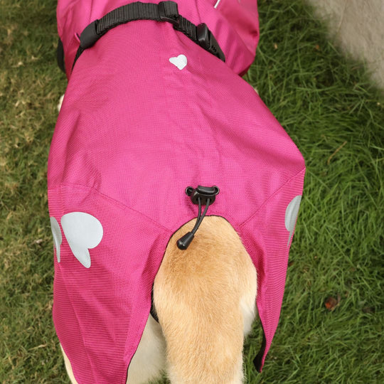 Zoof Dog Raincoat - Nawab Baby
