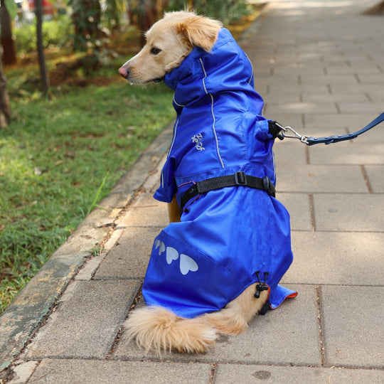 Zoof Dog Reversible Raincoat - Firecracker