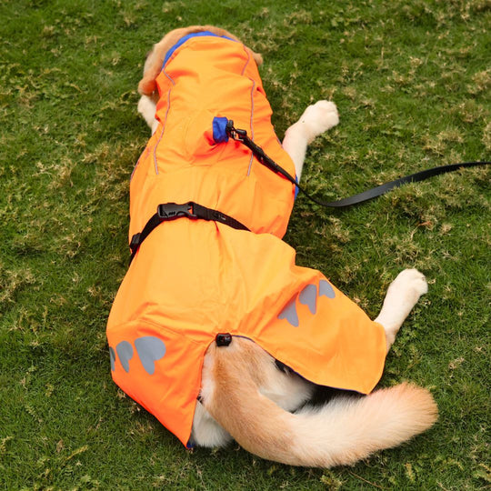 Zoof Dog Reversible Raincoat - Firecracker