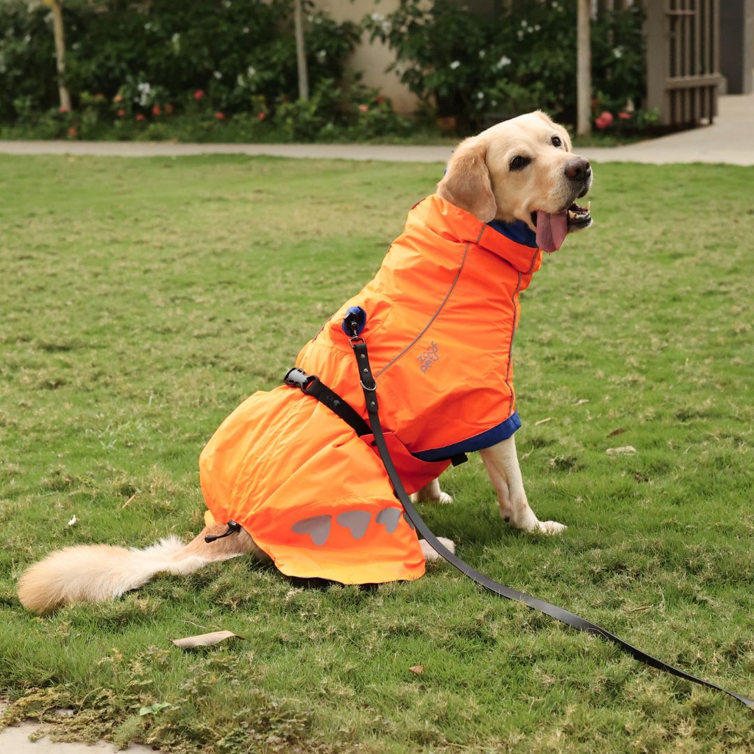 Zoof Dog Reversible Raincoat - Firecracker