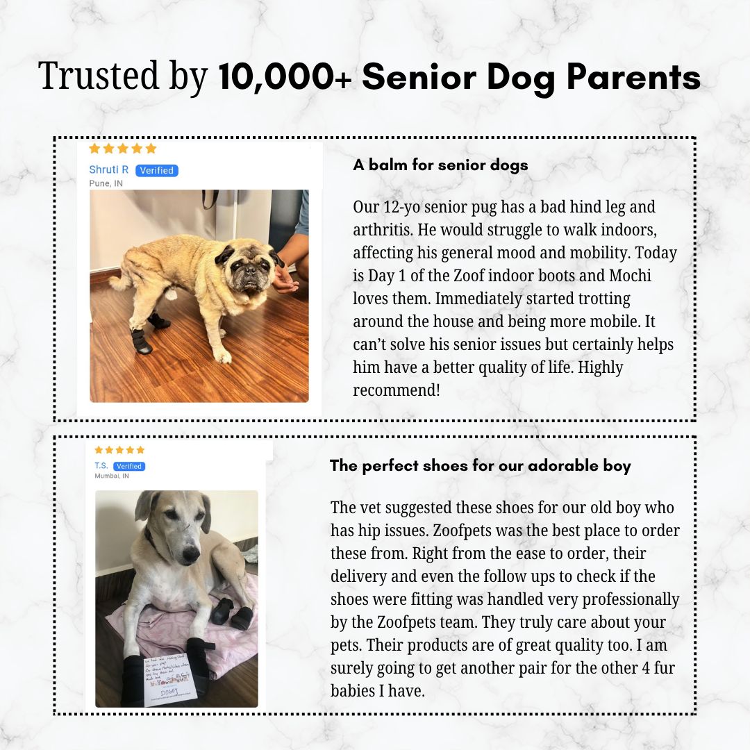 Zoof Grips - Anti Slip Indoor Shoes for Senior Dogs