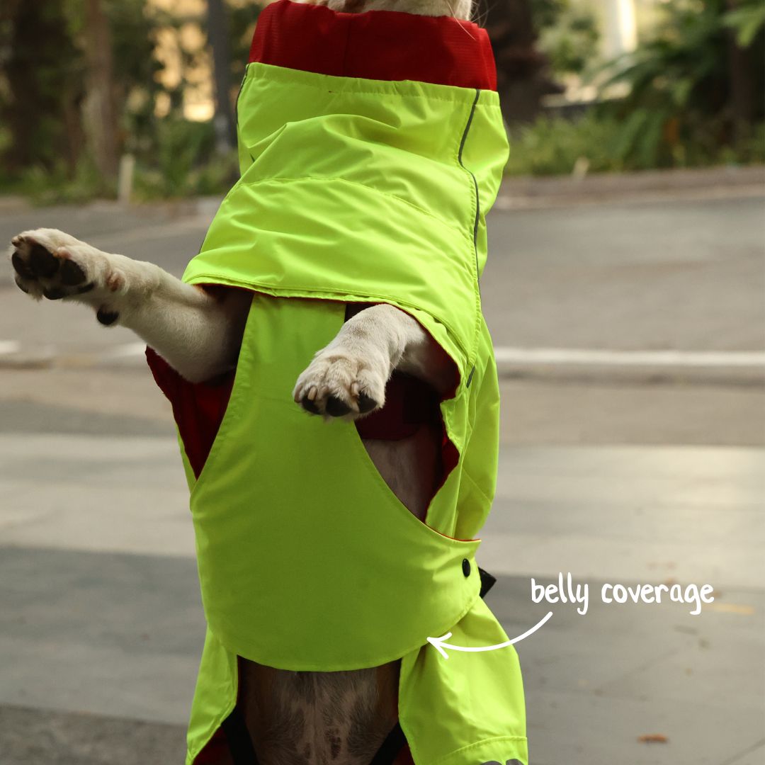 Zoof Dog Reversible Raincoat - Double Trouble