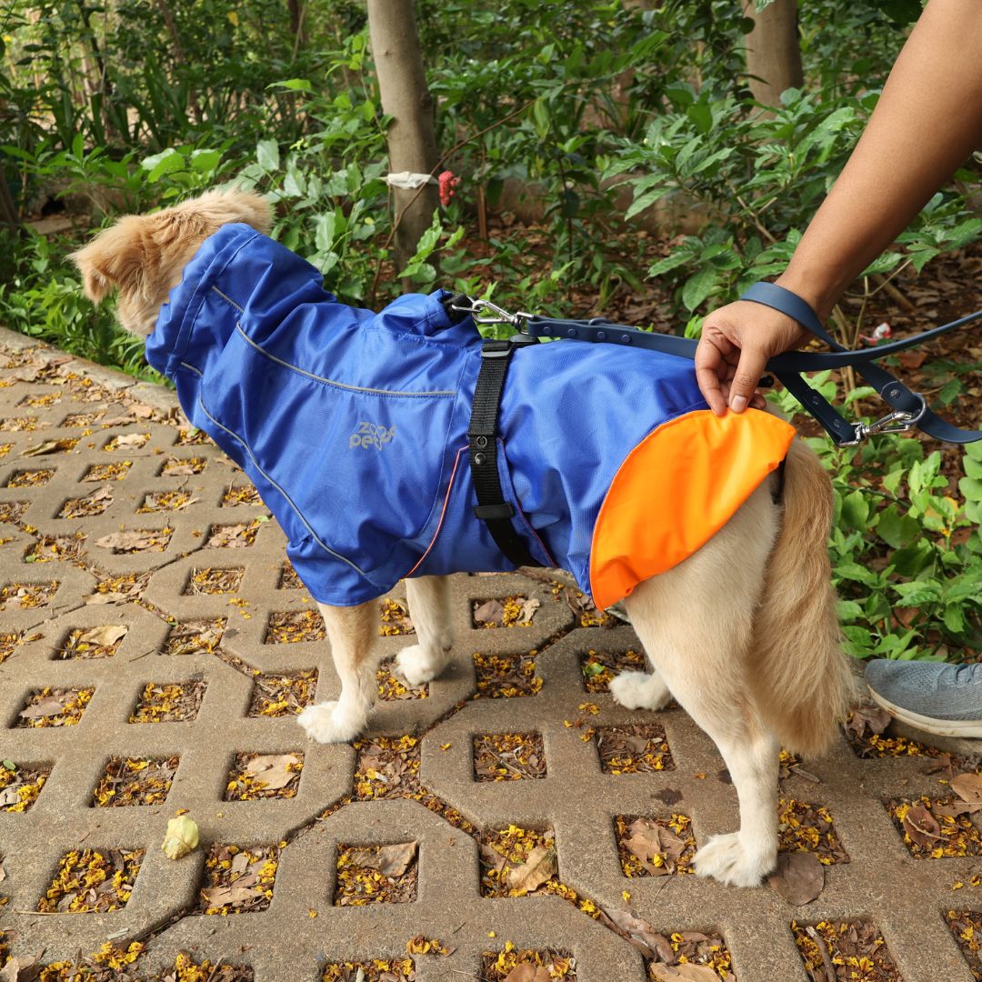 Zoof Dog Reversible Raincoat - Firecracker