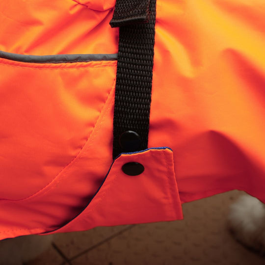 Zoof Dog Reversible Raincoat - Firecracker
