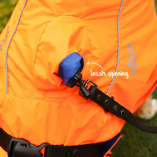 Zoof Dog Reversible Raincoat - Firecracker