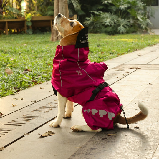 Zoof Dog Raincoat - Nawab Baby