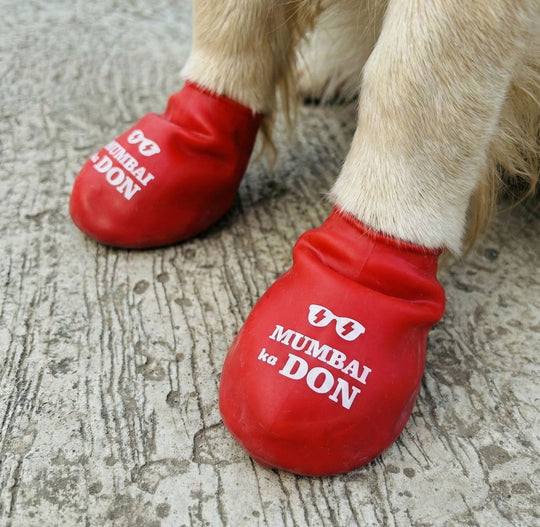 Zoof Boots - Mumbai Ka Don