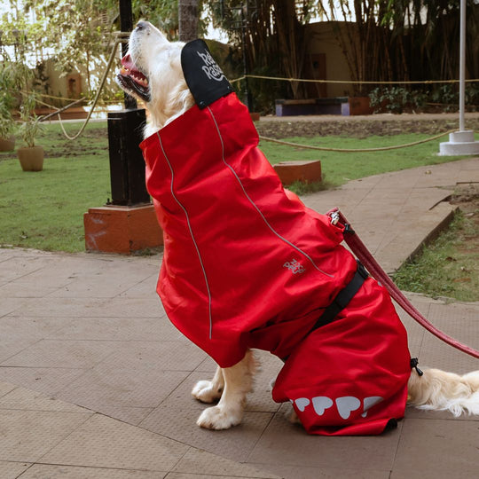 Zoof Dog Raincoat - Red Rascal