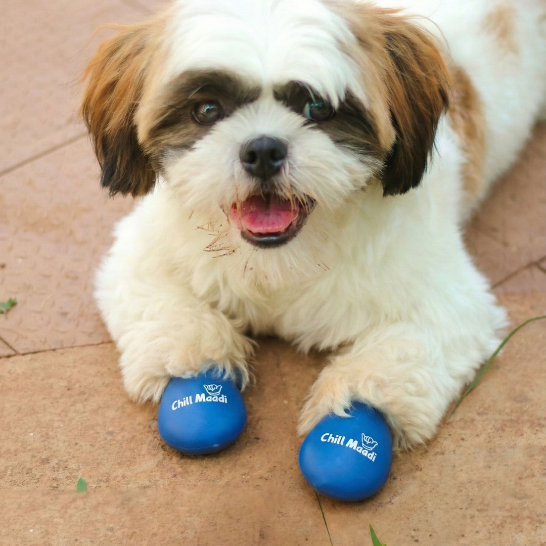 Zoof Boots - Chill Maadi