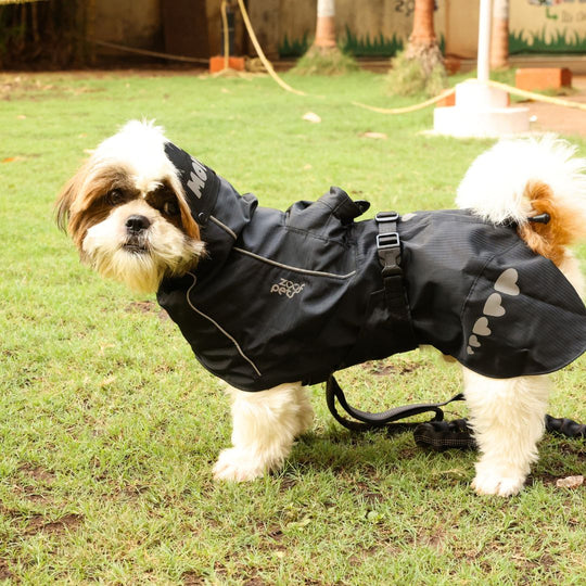 Zoof Dog Raincoat - Lil Monster
