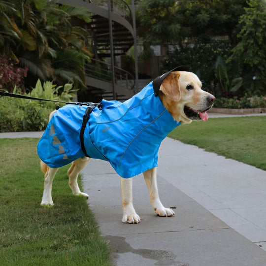 Zoof Dog Raincoat - Baarish Bae