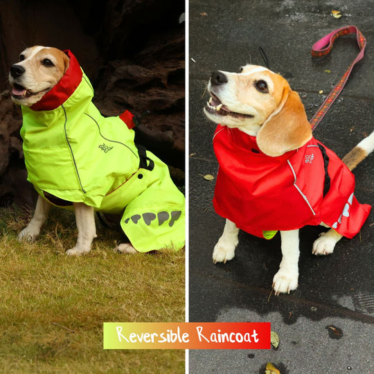 Zoof Dog Reversible Raincoat - Double Trouble
