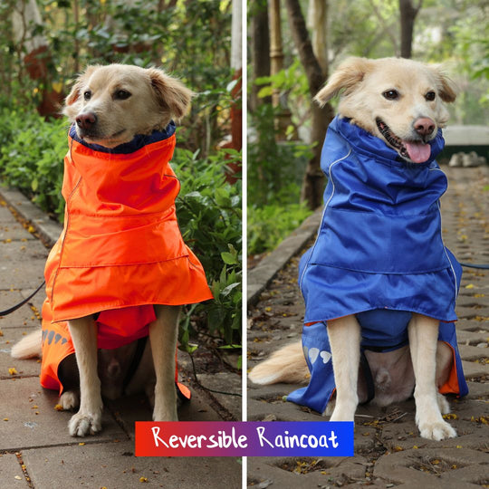 Zoof Dog Reversible Raincoat - Firecracker