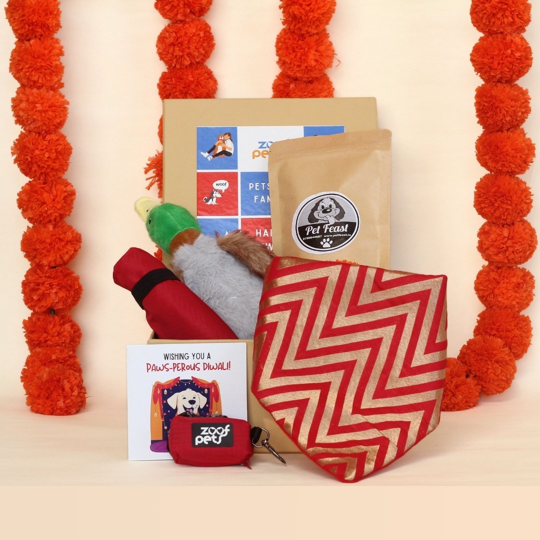 festival gift box for dogs