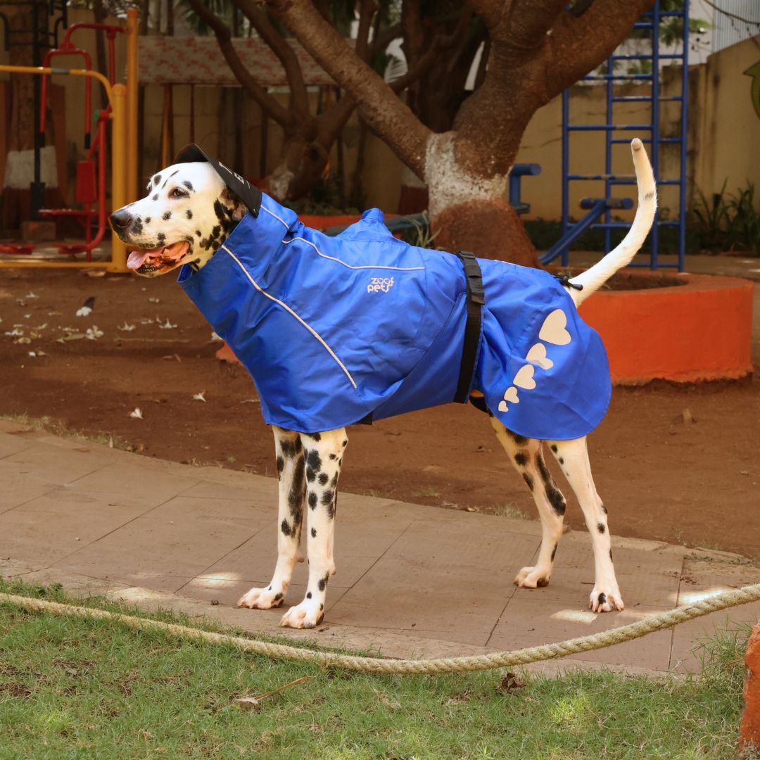 Zoof Dog Raincoat - Toofan Express