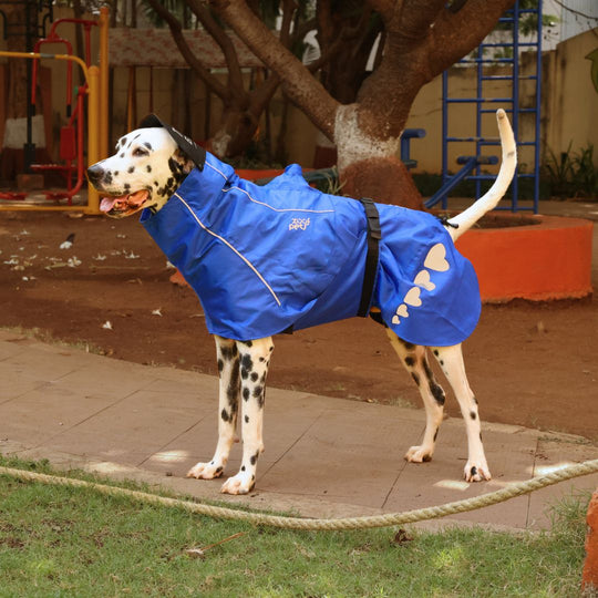 Zoof Dog Raincoat - Toofan Express
