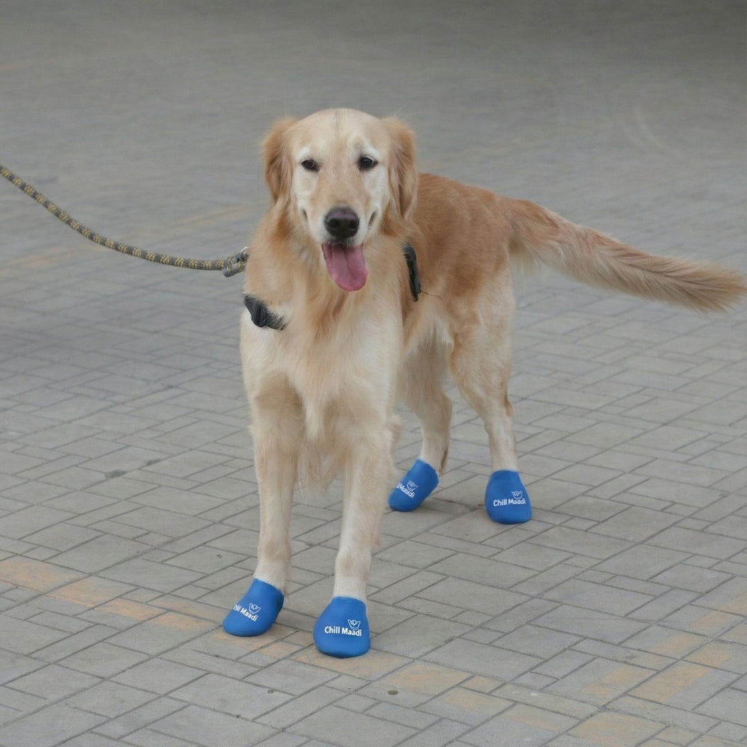 Zoof Boots - Chill Maadi